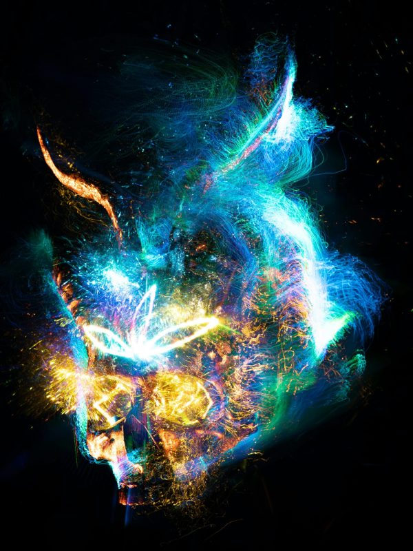 pexels-merlin-20139058 pexels-merlin-20139058